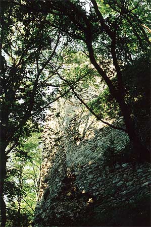 Zrúcaniny hradu Biely kameň (Svätý Jur) II.