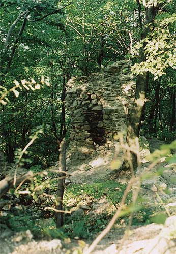 Biely Kamen Castle Ruins (Svaty Jur) III.