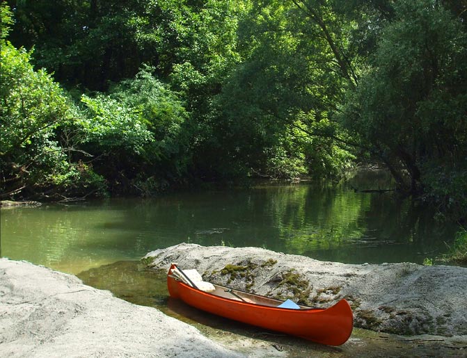 In the Danube River Branches