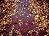 October Path