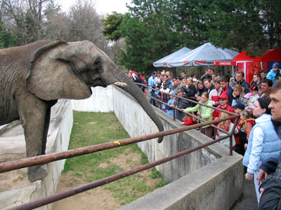 Bojnická zoologická záhrada