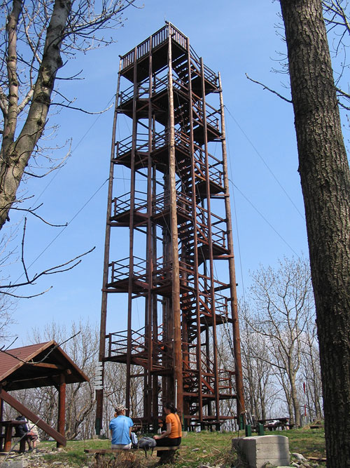 The Lookout Tower at the Velka Homola Hill