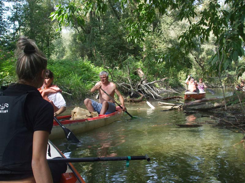 Danube River branches