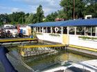 Restaurant in the Danube Vlcie Hrdlo Bay