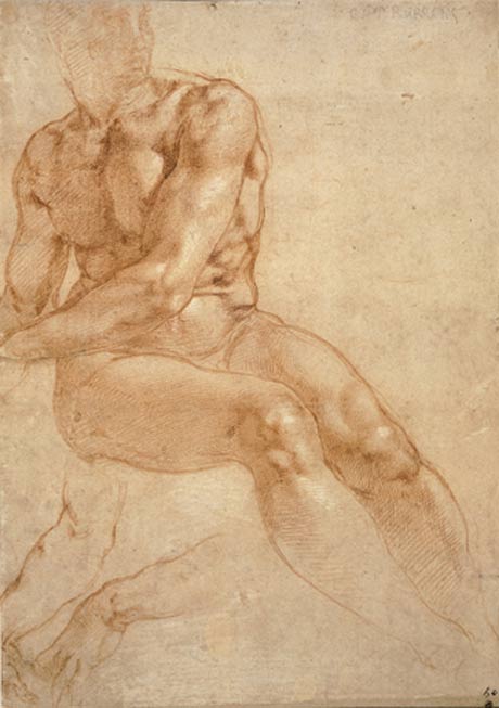 Michelangelo Buonarroti, exposition in Albertina