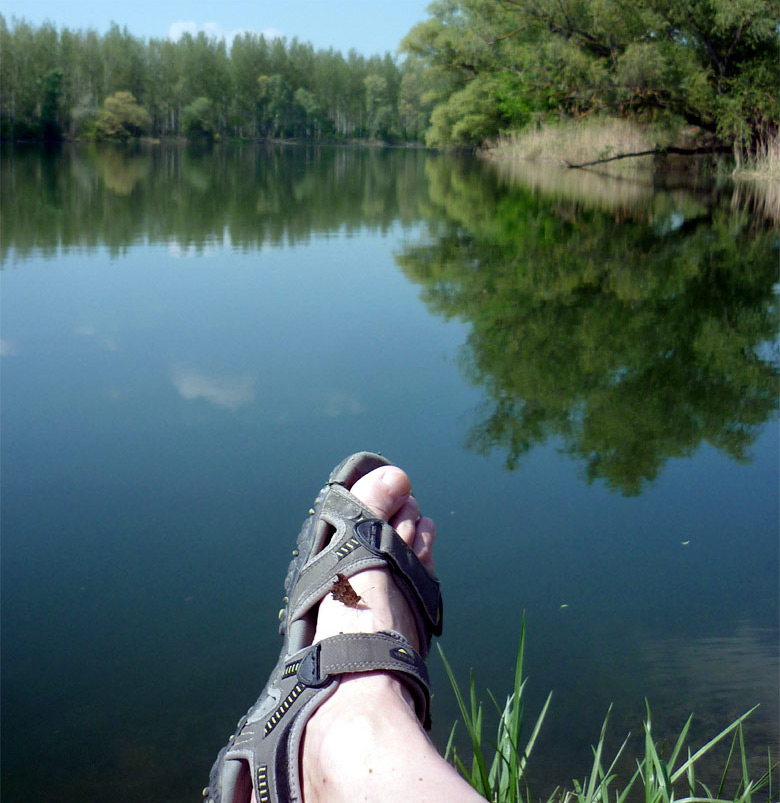 Again in Danube River branches - Spring 2013