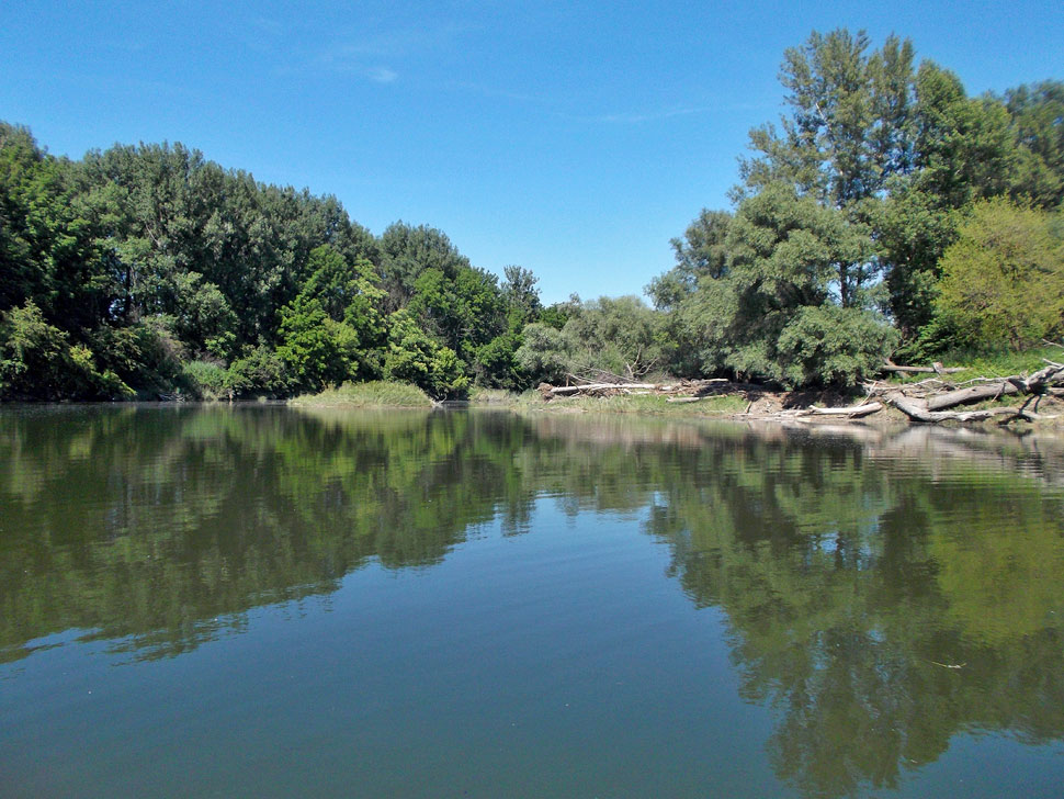 Danube River branch near in Stopfenreuth, Austria