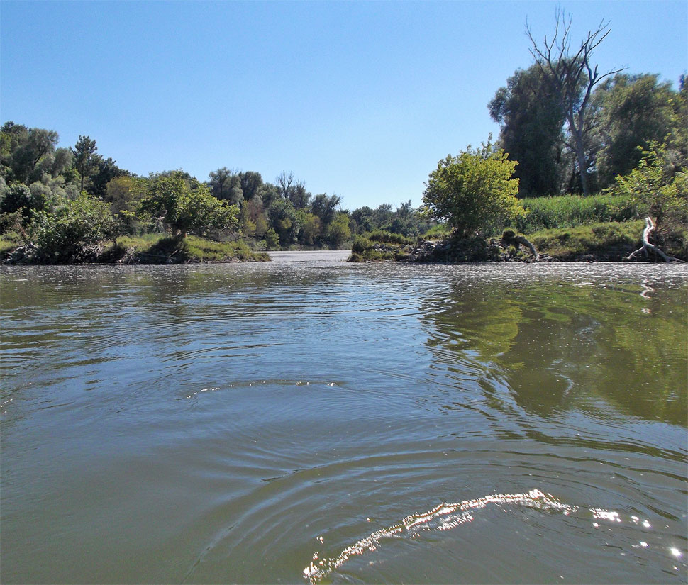 Danube River branch near in Stopfenreuth, Austria