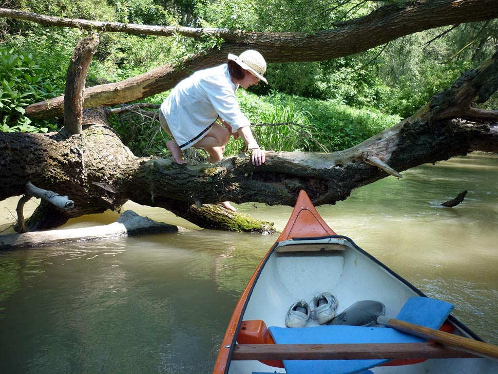 Slackline by Danube River branches