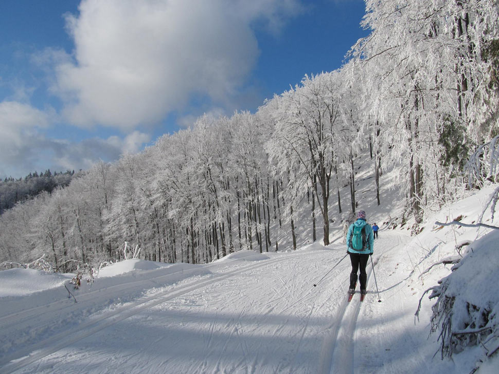 Bežecký lyžiarsky výlet na Skalke v Kremnických horách