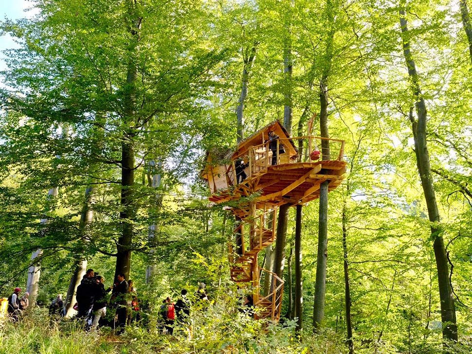 Tree house in Bratislava forests