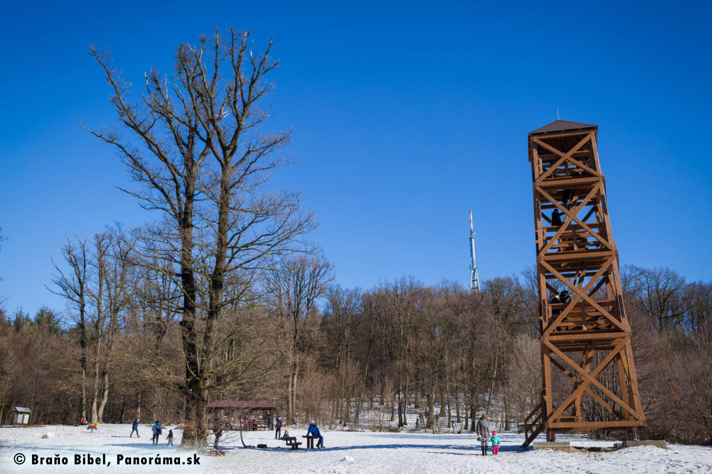 Wooden sightseeing tower in Bratislava forests in Winter