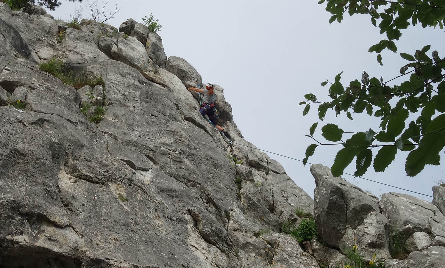 A natiahla ju až do konca cesty Hadie kože (6)