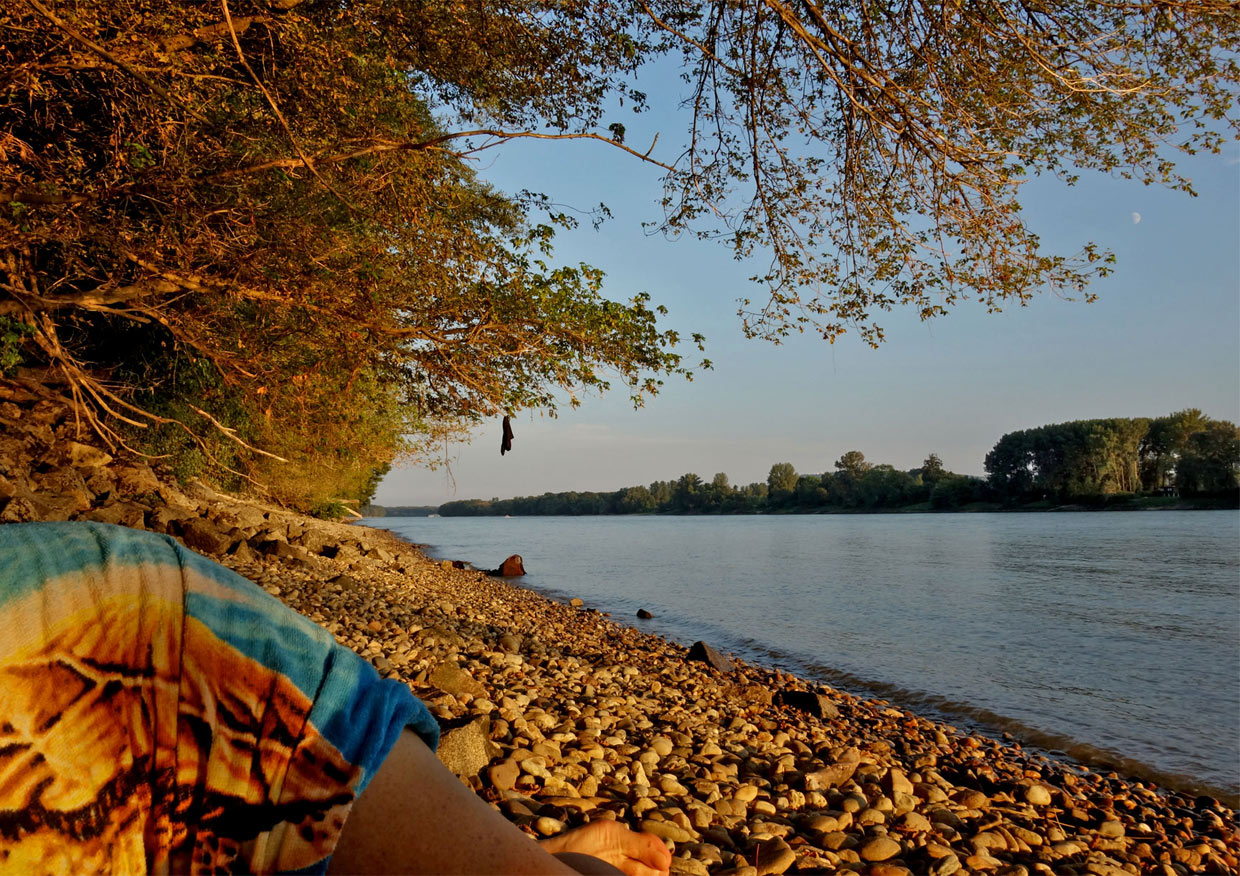 Early evening by the Danube River