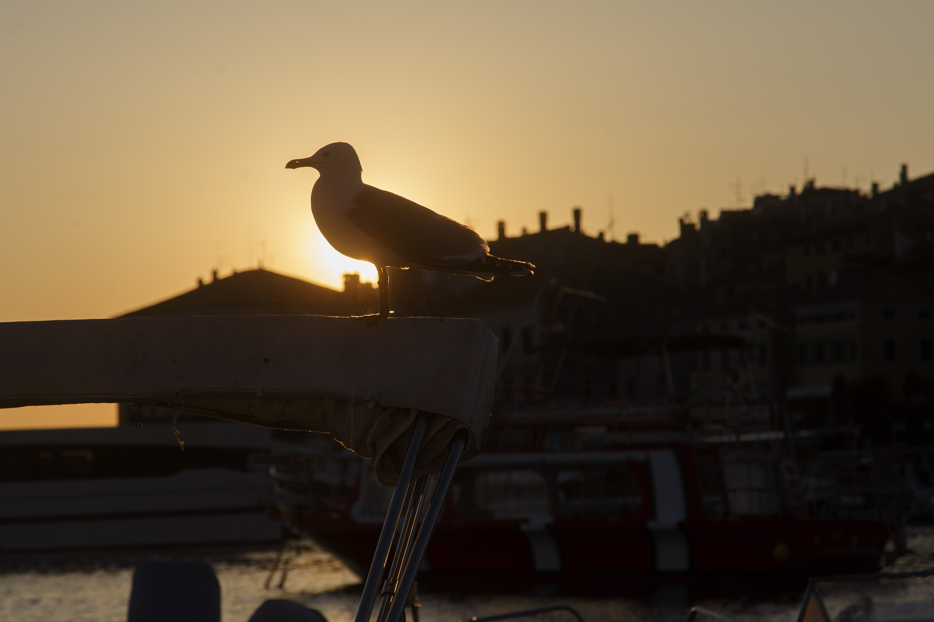 Rovinj 1