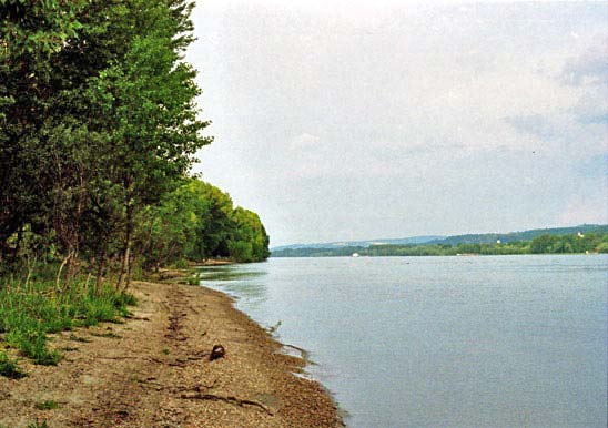 The Danube River near Patince
