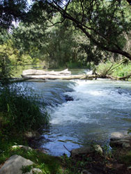 Around Danube River