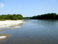 Old Danube River stream - belov km 1837
