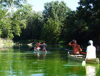 The Danube River branches - near Vojcianske Jazero lake