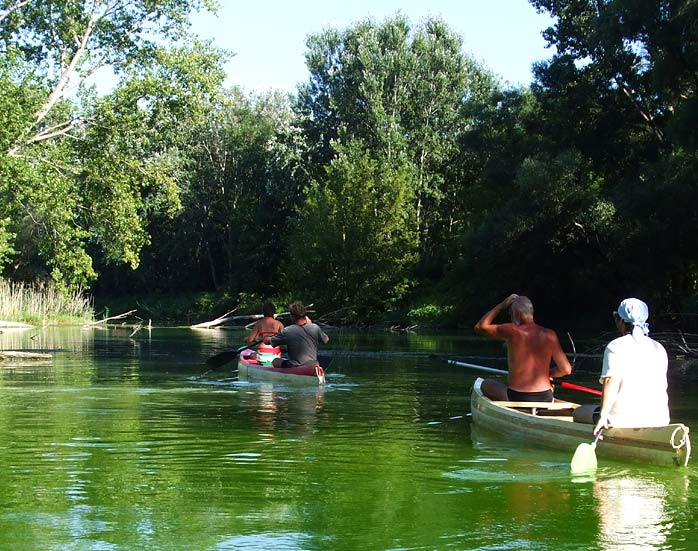 The Danube River branches - near Vojcianske Jazero lake