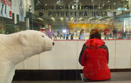 Ice-pool in Avion, Bratislava