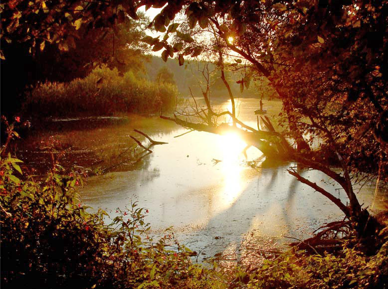 Sunset - the Danube River branches near Gabcikovo