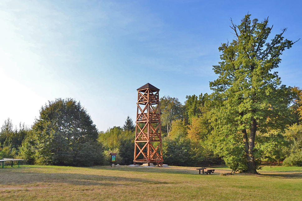 Wooden sightseeing tower in Bratislava forests